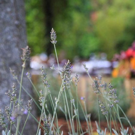 Podere La Miniera Relax & Food Siena Exteriör bild