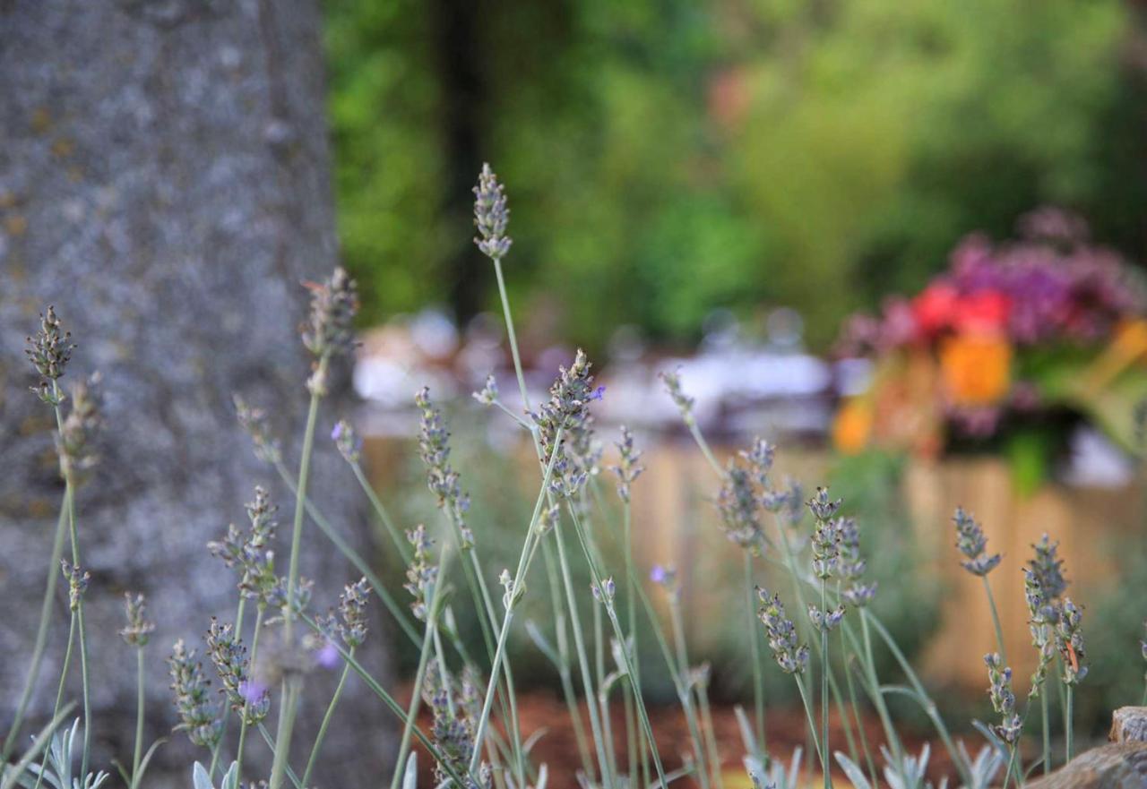 Podere La Miniera Relax & Food Siena Exteriör bild